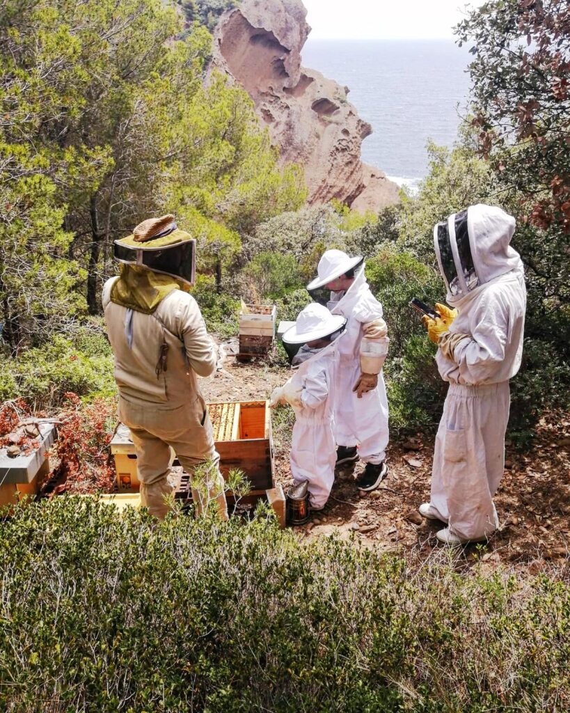 Initiation apiculture